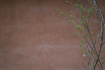 77319422-46B3-46A2-87B8-B95A5F063684/L0/001