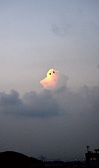 204178
