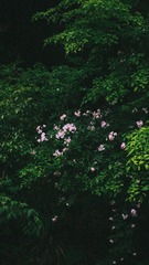 AEF43D3B-F6C5-49CC-A0F5-E9F2B0DA785D/L0/001