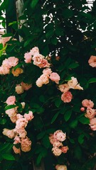 91659A74-8F31-494B-8571-A754C40A431F/L0/001
