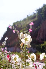 12640A46-0F3F-44A0-9DB0-36A991F810DB/L0/001