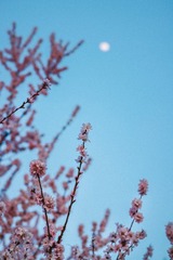 A1FEC551-7DFC-4398-A09D-DEB58F2B2178/L0/001