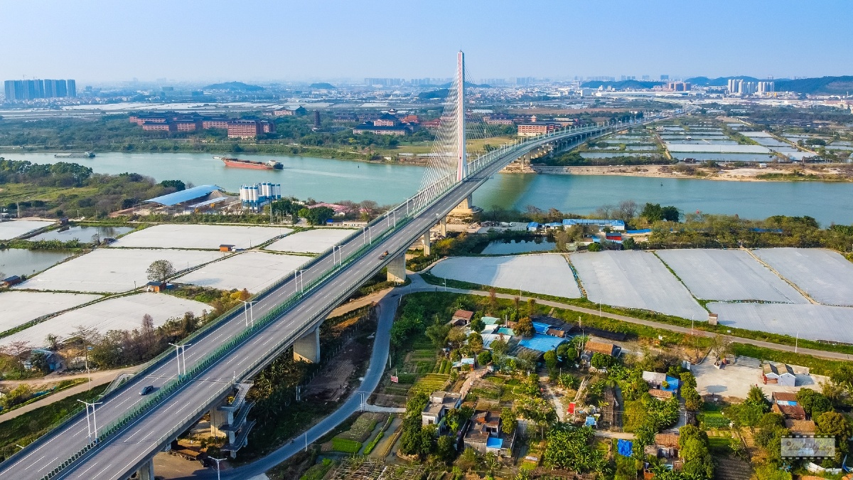 顺德最高大上的桥梁