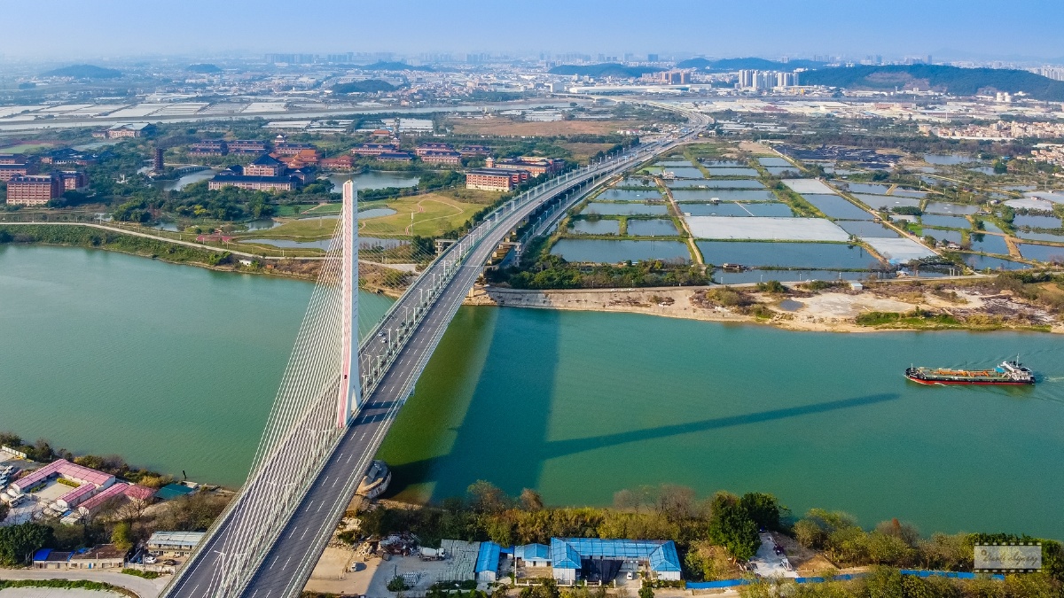 顺德最高大上的桥梁