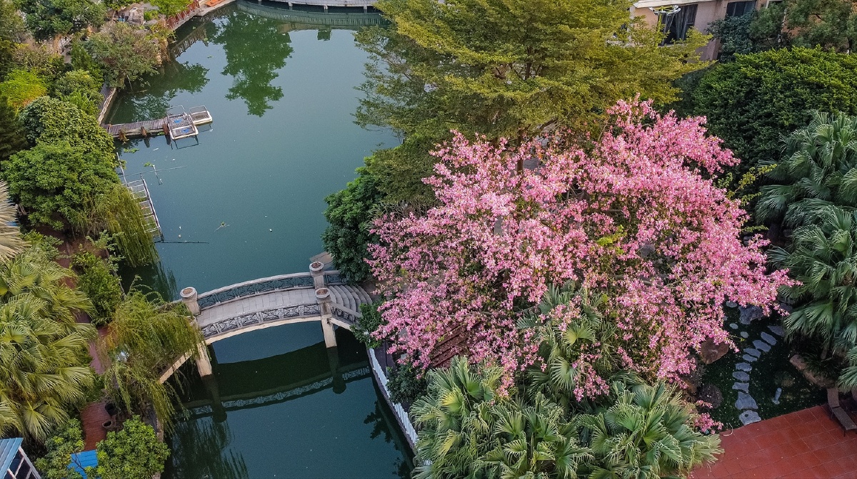 航拍初冬的中山南头镇