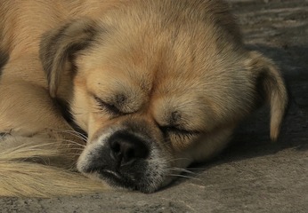 IMG_1502_