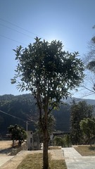 D3A39318-2AD3-4D6F-9454-4292124340F2/L0/001