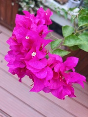 73CE690B-05A2-4109-AD41-25C27C9E33A7/L0/001