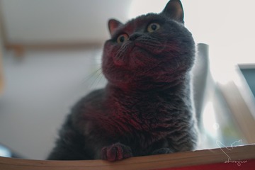 301