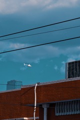 83641071-A5F0-4697-B60B-9F42906636A6/L0/001