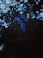 8C076D8C-371E-4A2A-AEBC-1784AF76C448/L0/001