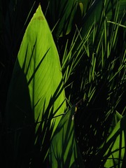 BF51D03F-AD75-4279-AB51-379BA95C4461/L0/001