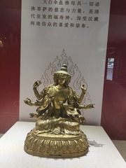 1000011123