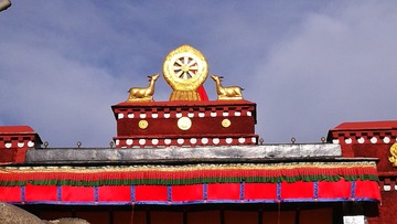 5515331