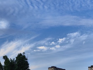 1000017001