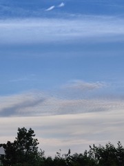 1000016996