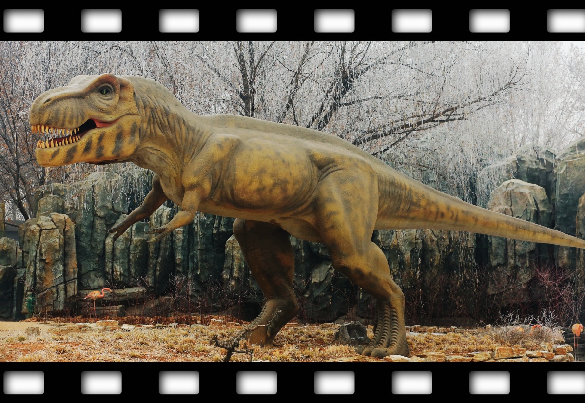 动物园里的恐龙王国