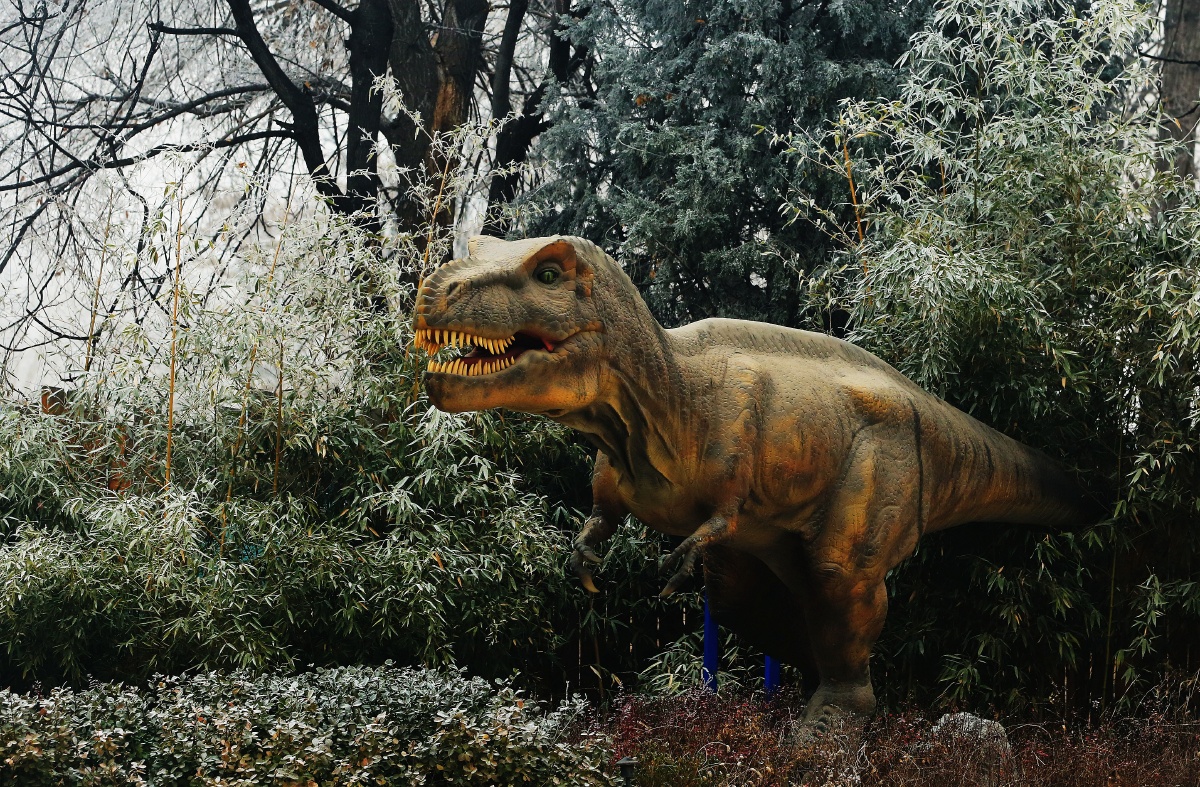 动物园里的恐龙王国