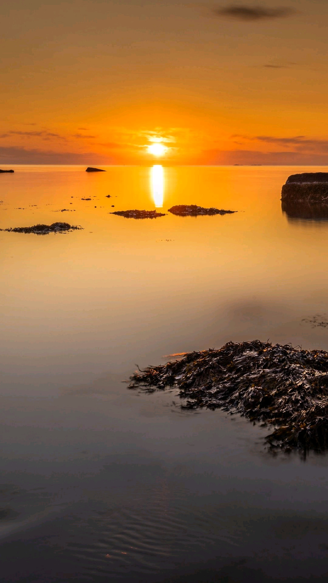 傍晚余晖落日长圆这是黄昏的模样