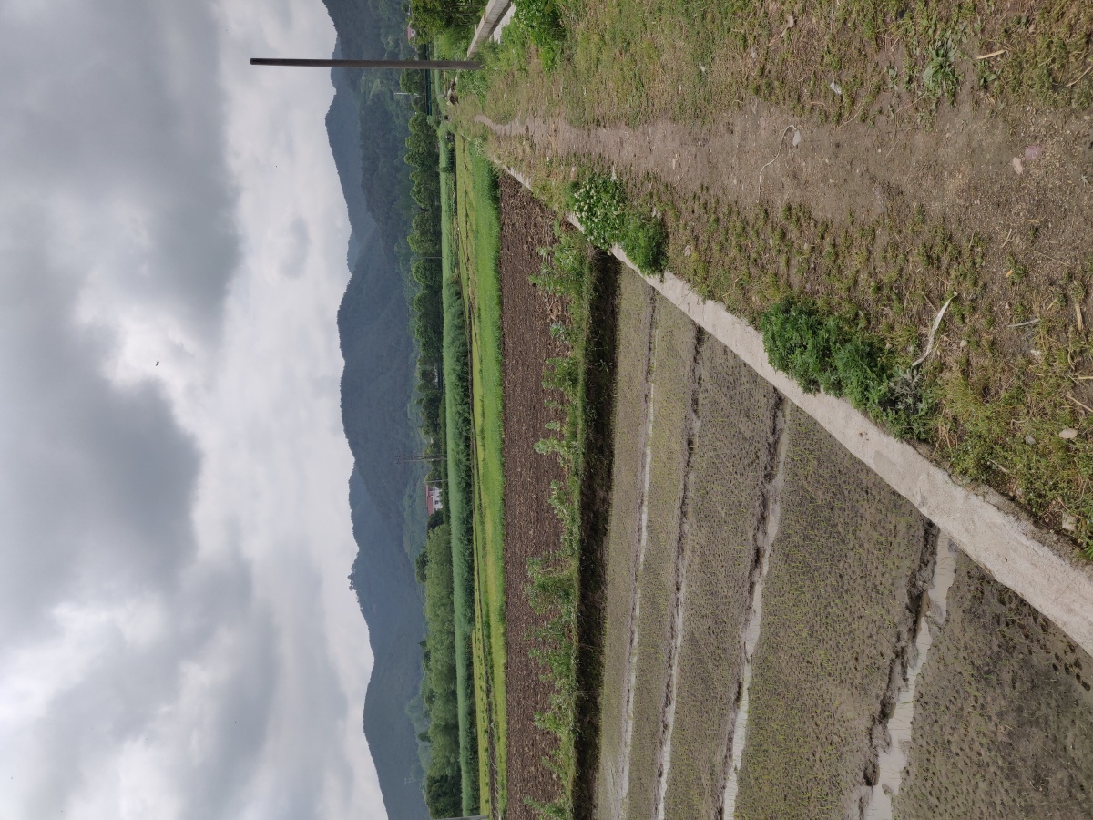 点赞是美德,打赏是鼓励打赏还没有人打赏,快来当第一个打赏的人吧