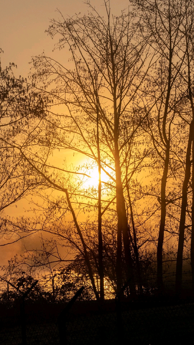 傍晚余晖落日长圆这是黄昏的模样