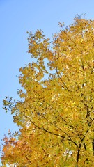 86F57433-71A1-4BDC-A8E8-5D4CEC25B9EC/L0/001