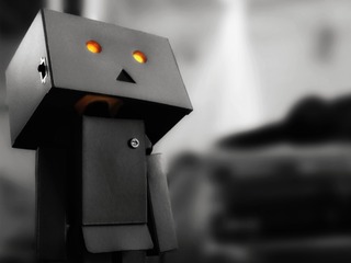 55448