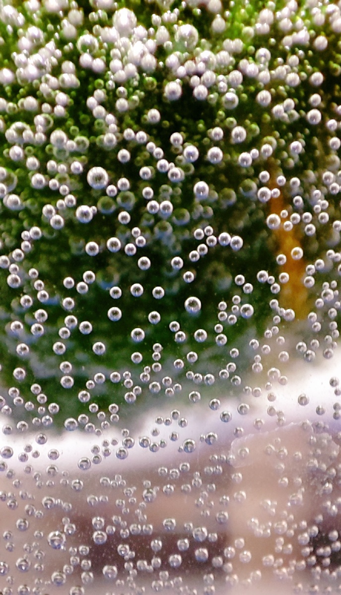 似珍珠,似黄昏,似一方海底世界. - 阿卅 - 图虫