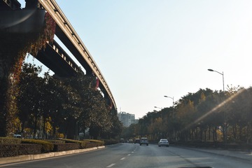 4559613