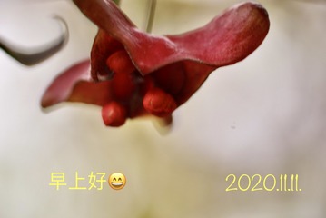 7645
