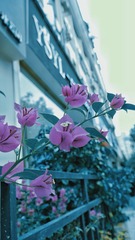 705E2FA3-9C99-4102-A5A5-8DF52FC43AFB/L0/001
