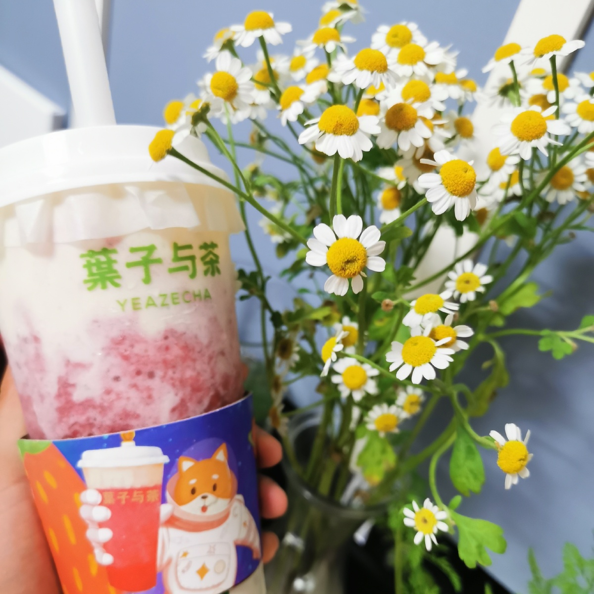 女神节三八节38节妇女节可用小清新花植物奶茶