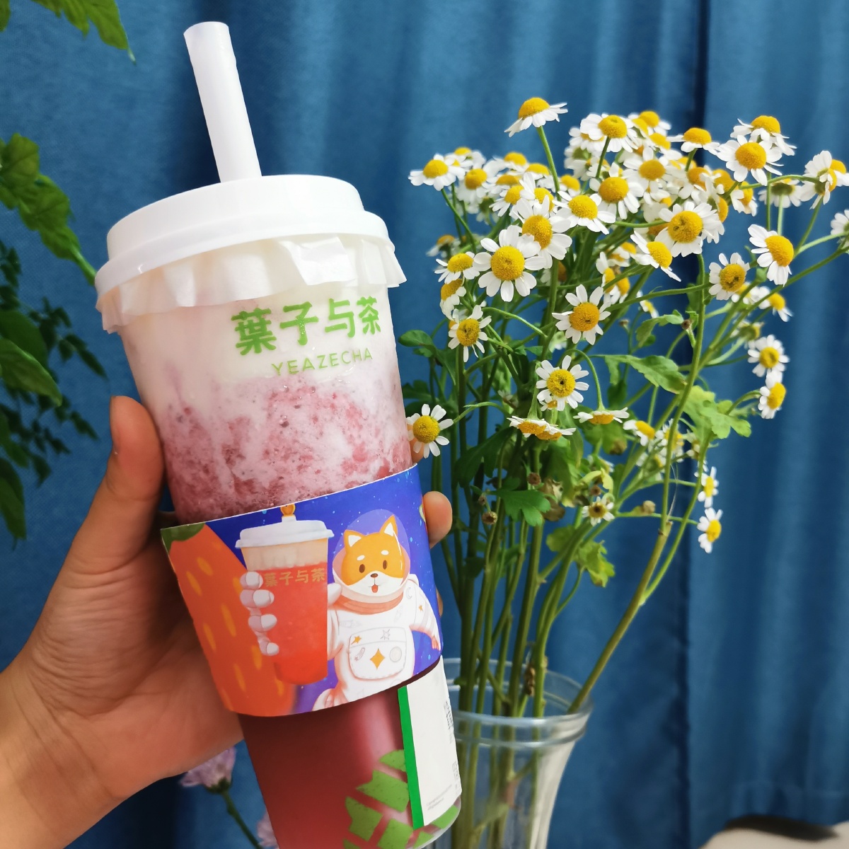 女神节三八节38节妇女节可用小清新花植物奶茶