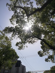 567480