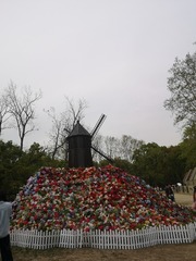 567002