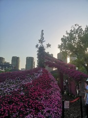 568602