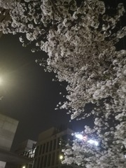 566733