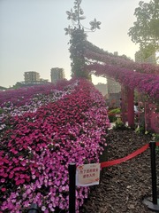 568601