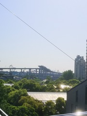 568003