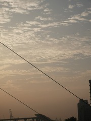 569442