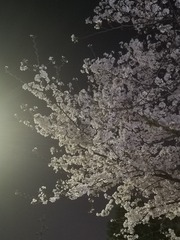 566729