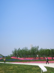 568321