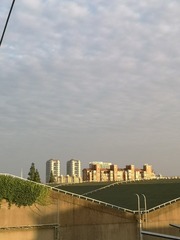 569397
