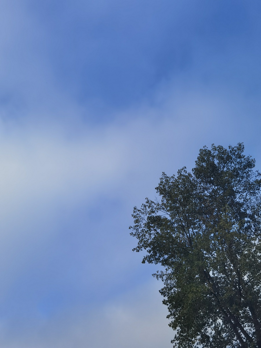 你喜欢这样蓝白晕染的天空吗