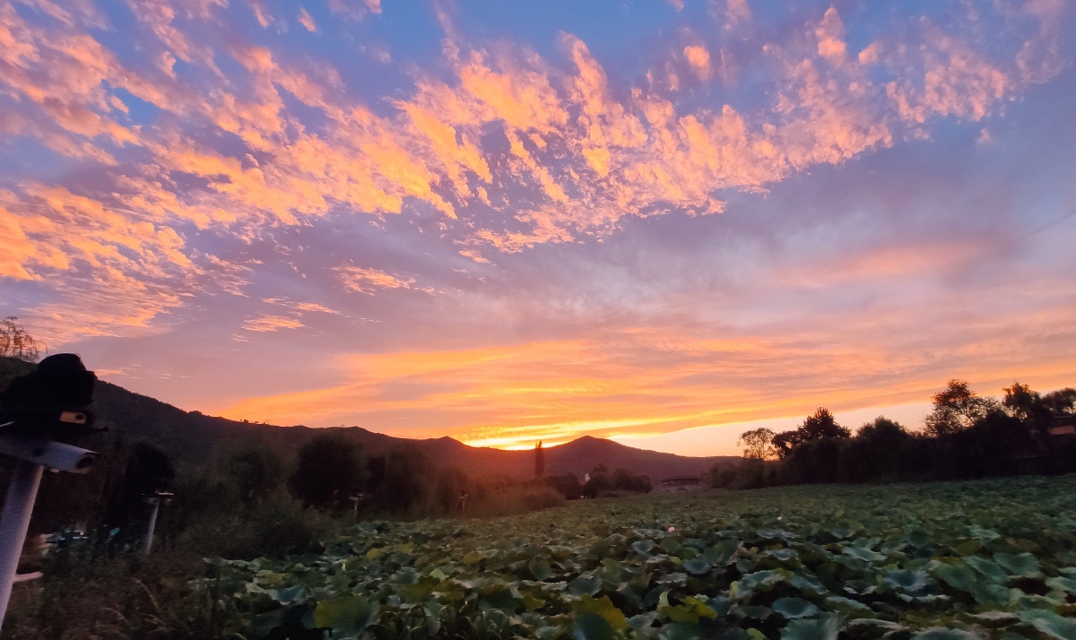 夕阳照耀下的云朵