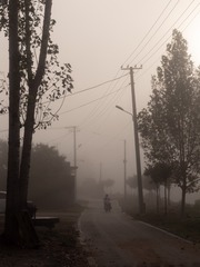 0687C3F8-FCAE-42F4-8E2D-14D06EFA415A/L0/001