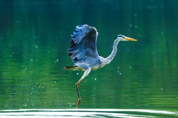 IMG_6182.2