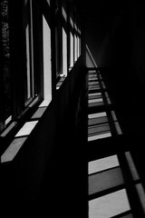 白日窗台梦