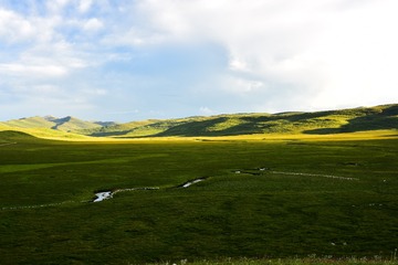 1493691