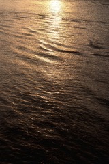 F0E5D37E-5B0E-4AF8-8ADD-C6A577D43C22/L0/001
